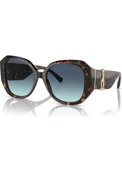 Güneş Gözlüğü TF4207-B 8015/9S