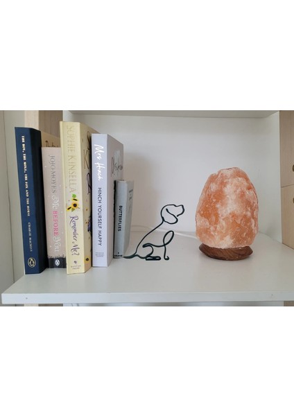 Köpek Kitap Tutucu Kitap Düzenleyici Kitaplık fiyatları