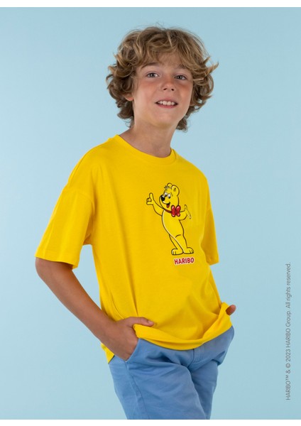 Baskılı Sarı Erkek Çocuk T-Shirt HRBTXT107 fiyatları