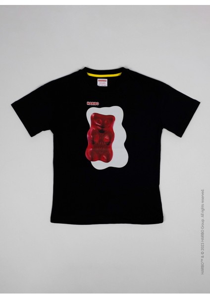 Baskılı Siyah Erkek Çocuk T-Shirt HRBTXT010 modelleri