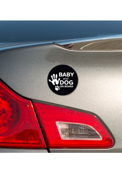 Carmagnet Mıknatıslı Tak Çıkart Araç Aksesuarı