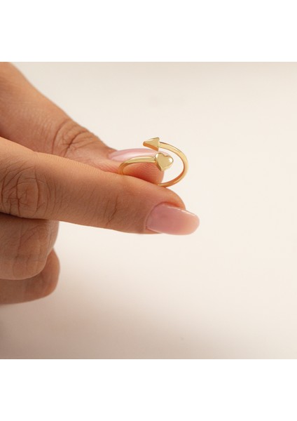 14 Ayar Kalbe Giden Ok Altın Yüzük 14CGKYZK003 fiyatları