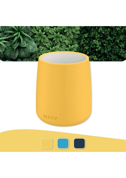 Cosy Kalemlik Sarı fırsatları