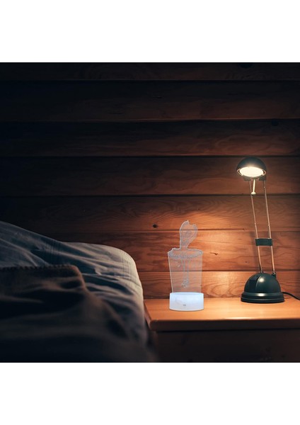LED Masa Lambası 3D Illüzyon Gece Lambası Bale Dansçısı Axolotl Şekli Masa Lambası 16 Renk Değişimi Işık Dokunmatik Optik Illüzyon LED Komodin Uyuyan Gece Lambası Masa Lambası LED (Yurt Dışından)