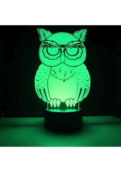 3D Baykuş Kartal Gece Lambası LED Lamba Illusion 7 Renk Değiştirme Dokunmatik Anahtarı Masa Masa Dekorasyon Lambaları Doğum Günü Hediyesi Akrilik Taban USB Kablosu Oyuncak (Yurt Dışından) fiyatları