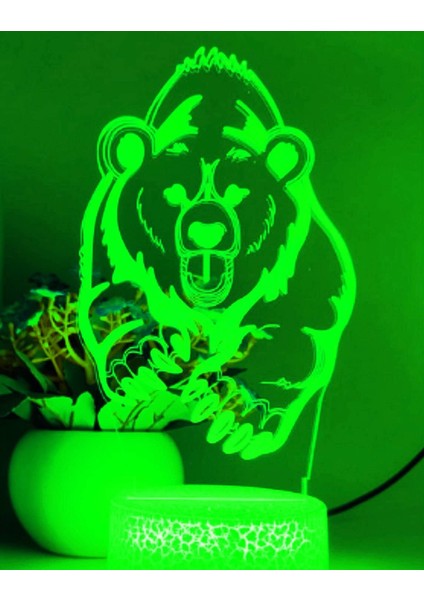 3D Ayı Gece Lambası LED Lamba Illusion 7 Renk Değiştiren Masa Masa Dekorasyon Lambaları Doğum Günü Hediyesi Akrilik Taban USB Kablosu Oyuncak (Yurt Dışından)