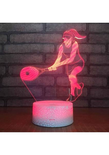 Çocuklar Için 3D Gece Lambası, 3D Kız Stili Illüzyon Gece Lambası, Zamanlama Uzaktan Kumandalı Dekor Lambası Yeni Yıl Tatili Çocuklar Için Noel Doğum Günü Hediyeleri Çocuk Genç (Yurt Dışından)