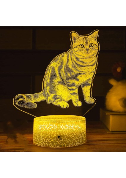 3D Kedi Gece Işığı Lambası Illusion Gece Lambası 7 Renk Değiştirme Dokunmatik Anahtar Masa Masa Dekorasyon Lambaları Hediye Akrilik Düz Abs Taban USB Kablosu Oyuncak (Yurt Dışından)