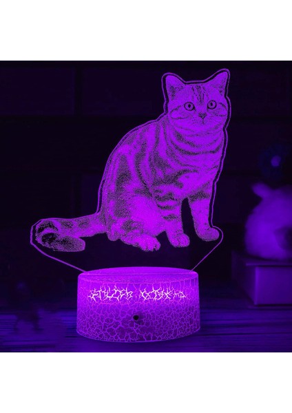 3D Kedi Gece Işığı Lambası Illusion Gece Lambası 7 Renk Değiştirme Dokunmatik Anahtar Masa Masa Dekorasyon Lambaları Hediye Akrilik Düz Abs Taban USB Kablosu Oyuncak (Yurt Dışından)