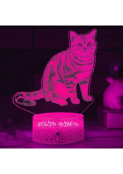 3D Kedi Gece Işığı Lambası Illusion Gece Lambası 7 Renk Değiştirme Dokunmatik Anahtar Masa Masa Dekorasyon Lambaları Hediye Akrilik Düz Abs Taban USB Kablosu Oyuncak (Yurt Dışından)