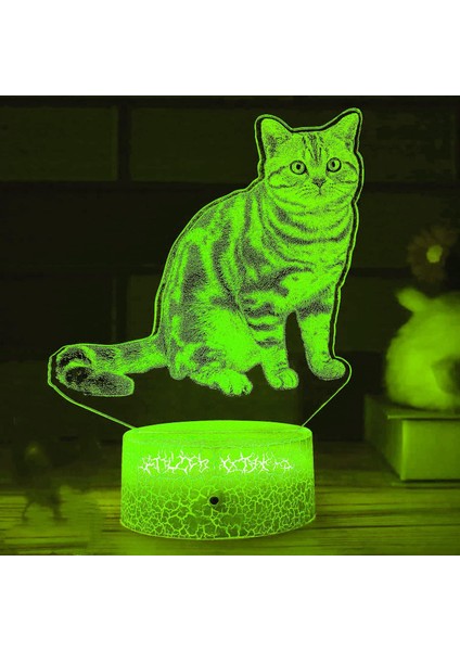 3D Kedi Gece Işığı Lambası Illusion Gece Lambası 7 Renk Değiştirme Dokunmatik Anahtar Masa Masa Dekorasyon Lambaları Hediye Akrilik Düz Abs Taban USB Kablosu Oyuncak (Yurt Dışından)