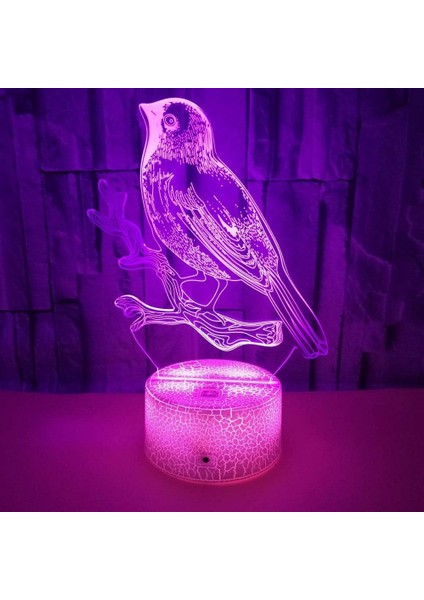 3D Kuş Gece Lambası Masa Danışma Optik Illusion Lambalar 7 Renk Değiştirme Işıkları LED Masa Lambası Noel Ev Aşk Doğum Günü Çocuk Çocuk Dekor Oyuncak Hediye (Yurt Dışından)