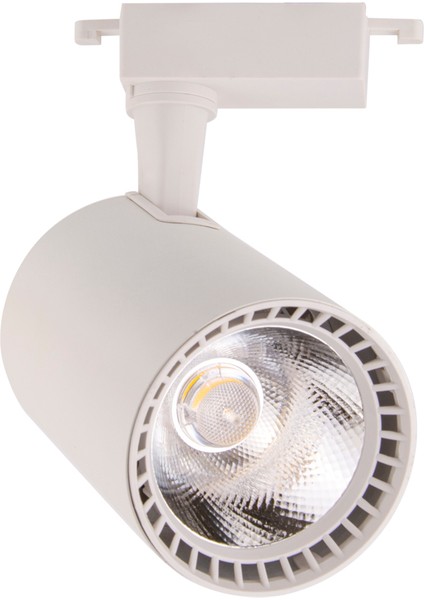 Taşkın Led 30 W Ray Spot Beyaz Kasa Beyaz Işık 2'li Ürün