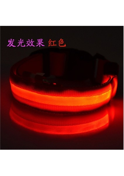 Köpek Tasması Pet Işıklı Yaka USB Şarj Edilebilir Tel Örgü Işıklı Yaka Köpek Işıklı Yaka LED Işıklı Yaka (Yurt Dışından) fiyatları