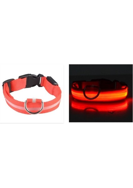 Köpek Tasması Pet Işıklı Yaka USB Şarj Edilebilir Tel Örgü Işıklı Yaka Köpek Işıklı Yaka LED Işıklı Yaka (Yurt Dışından) modelleri