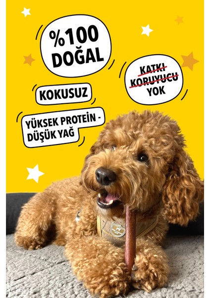 Kauçuk Muz Köpek Oyuncağı ve Dana Kamış Pizzle Köpek Ödül Çubuğ