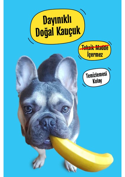 Kauçuk Muz Köpek Oyuncağı ve Dana Kamış Pizzle Köpek Ödül Çubuğ