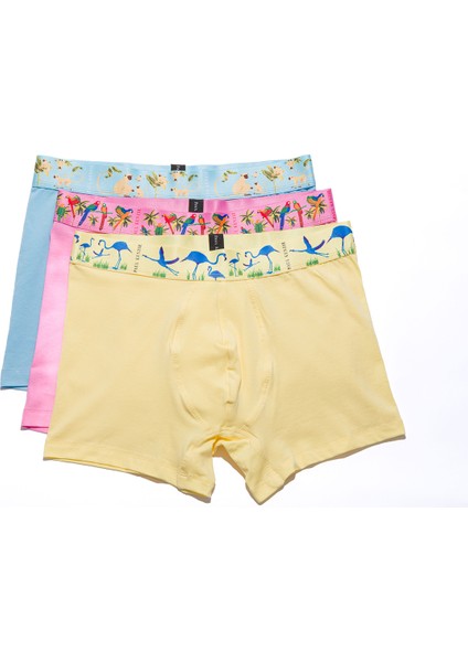 3'lü Erkek Boxer Comfort Flex - Exotic