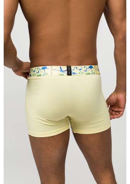 3'lü Erkek Boxer Comfort Flex - Exotic