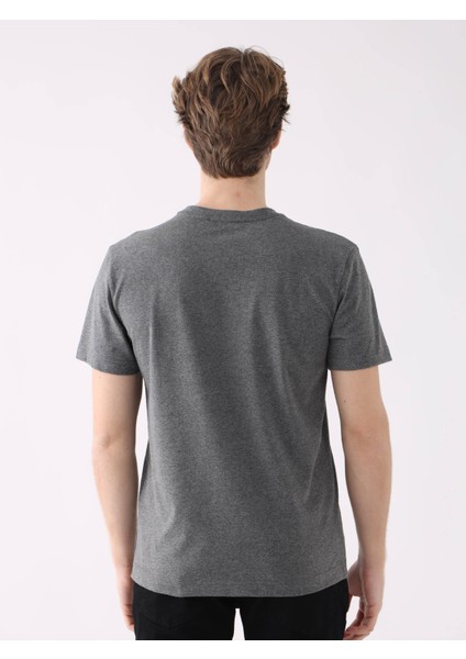 Antrasit Melanj Erkek Regular Fit O Yaka Tshirt
