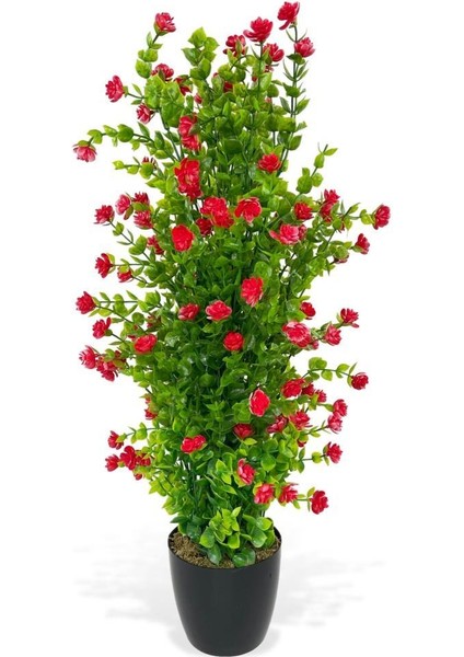 Yapay Çiçek Siyah Saksıda Kırmızı Mineli Şimşir Ağacı 55CM