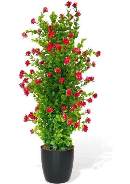 Yapay Çiçek Siyah Saksıda Kırmızı Mineli Şimşir Ağacı 55CM modelleri