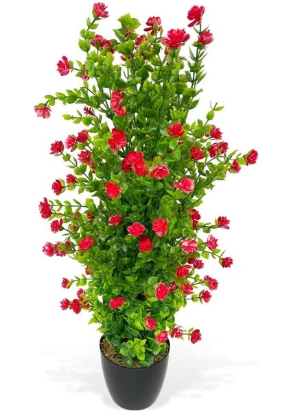 Yapay Çiçek Siyah Saksıda Kırmızı Mineli Şimşir Ağacı 55CM fırsatları