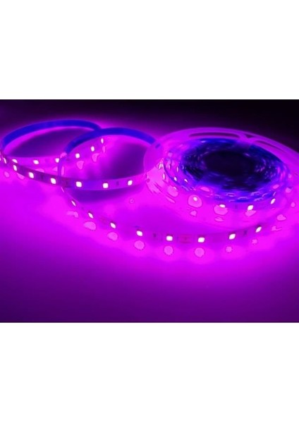 Şerit LED 12 V İç Mekan Pembe 3 Çipli 5 Mt Bolled+Cata 5 Metre