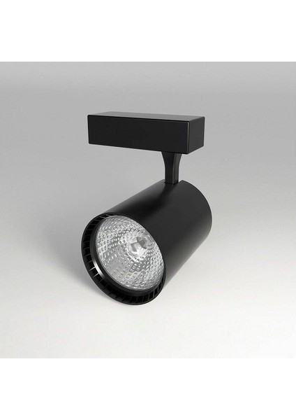 YRS-3000 Ray Spot 30 Watt Siyah Kasa Günışığı