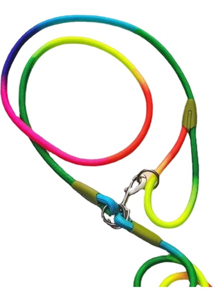 Köpek Tasma Ipi Büyük Orta Köpek Çekiş Ipi Leashes Çok Renkli (Yurt Dışından)