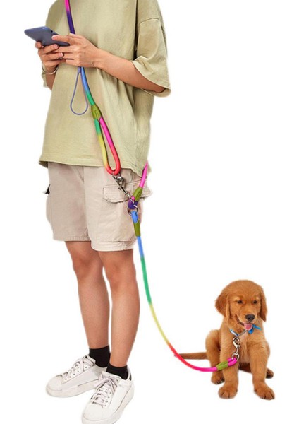 Köpek Tasma Ipi Büyük Orta Köpek Çekiş Ipi Leashes Çok Renkli (Yurt Dışından)