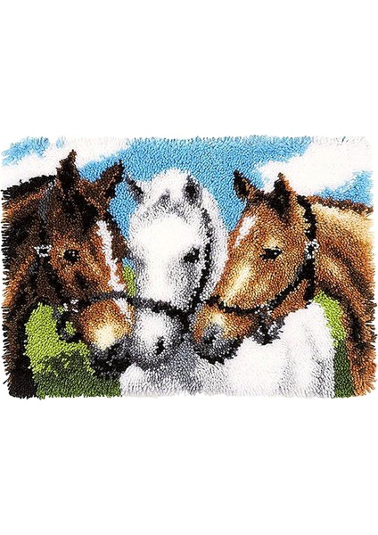 Dıy Yapımı Nakış Goblen Mat 3d Mandal Ham Halı (Yurt Dışından)