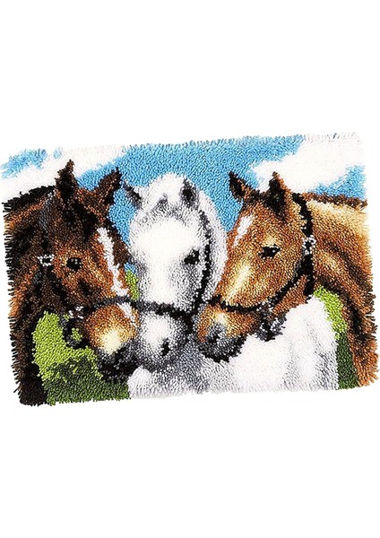 Dıy Yapımı Nakış Goblen Mat 3d Mandal Ham Halı (Yurt Dışından) fiyatları