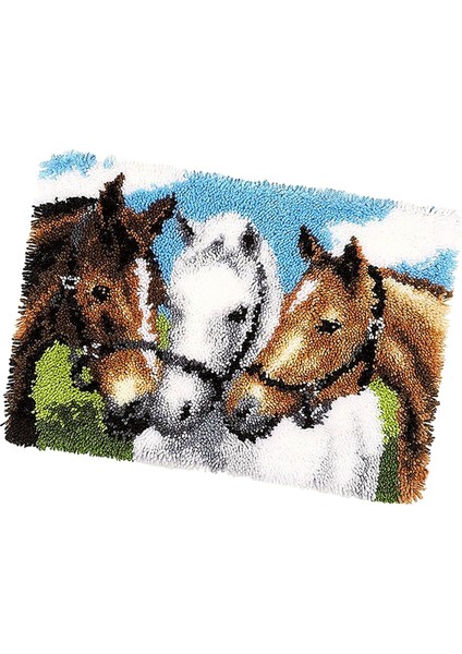 Dıy Yapımı Nakış Goblen Mat 3d Mandal Ham Halı (Yurt Dışından) indirimleri