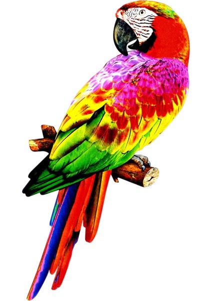 Yapay Papağanlar Figürinler Kuş Model Heykeli Parti Çim Dekorasyon Stili B Için Dıy B (Yurt Dışından)