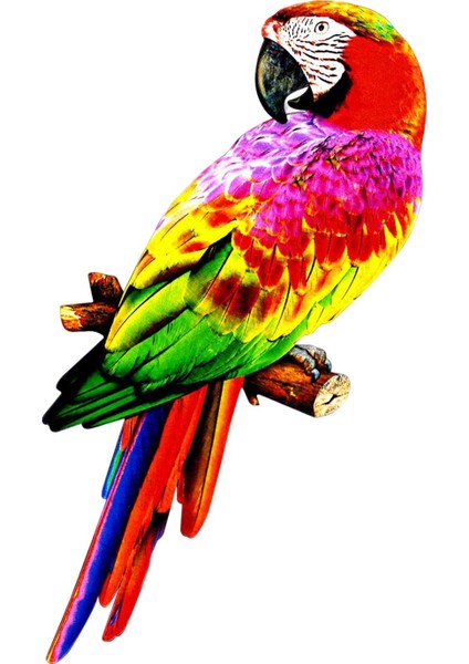 Yapay Papağanlar Figürinler Kuş Model Heykeli Parti Çim Dekorasyon Stili B Için Dıy B (Yurt Dışından) fiyatları