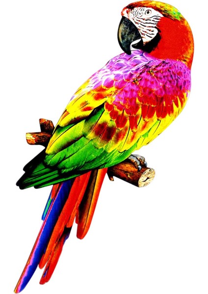 Yapay Papağanlar Figürinler Kuş Model Heykeli Parti Çim Dekorasyon Stili B Için Dıy B (Yurt Dışından) modelleri