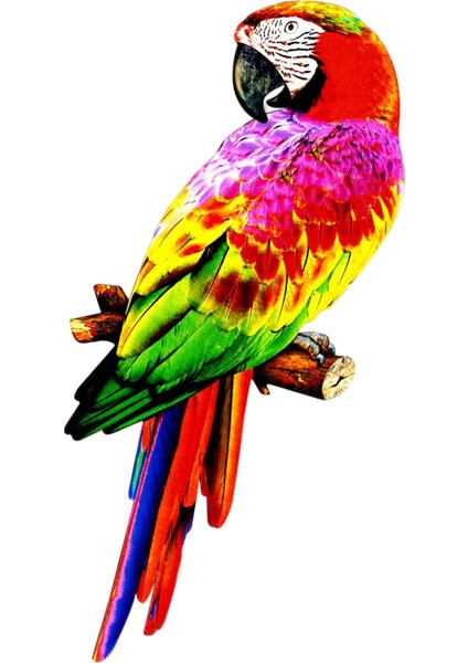 Yapay Papağanlar Figürinler Kuş Model Heykeli Parti Çim Dekorasyon Stili B Için Dıy B (Yurt Dışından) fırsatları