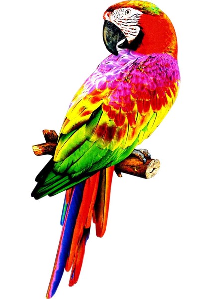 Yapay Papağanlar Figürinler Kuş Model Heykeli Parti Çim Dekorasyon Stili B Için Dıy B (Yurt Dışından) indirimleri