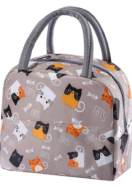 Bag Oxford Yalıtımlı Tote Yalıtımlı Öğle Yemeği Teen Style A (Yurt Dışından) fiyatları