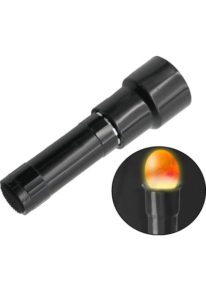 Yumurta Mum Lambasıınlatma Inkübatör (Yurt Dışından) fırsatları