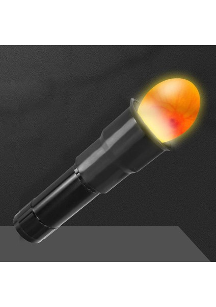 Yumurta Mum Lambasıınlatma Inkübatör (Yurt Dışından) indirimleri