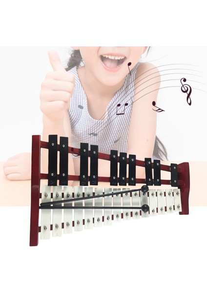 25 Not Glockenspiel Ksilofon Eğitim Perküsyonu Profesyonel Taşınabilir (Yurt Dışından)