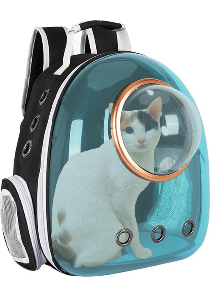 Pet Yavru Taşıyıcı Kapsül Sırt Çantası Yürüyüşü Taşıma Çantası Mavi (Yurt Dışından) fırsatları