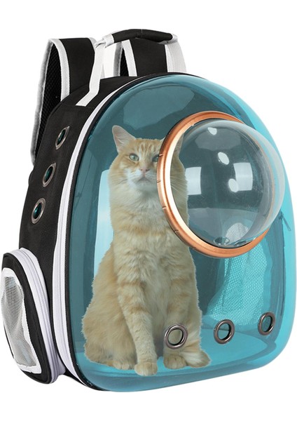 Pet Yavru Taşıyıcı Kapsül Sırt Çantası Yürüyüşü Taşıma Çantası Mavi (Yurt Dışından) indirimleri