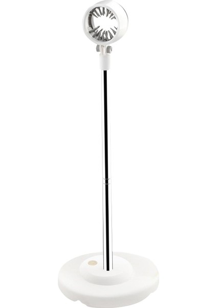 Kurutma Saç Kurutma Rafıım Damatçıları 140cm (Yurt Dışından) fiyatları