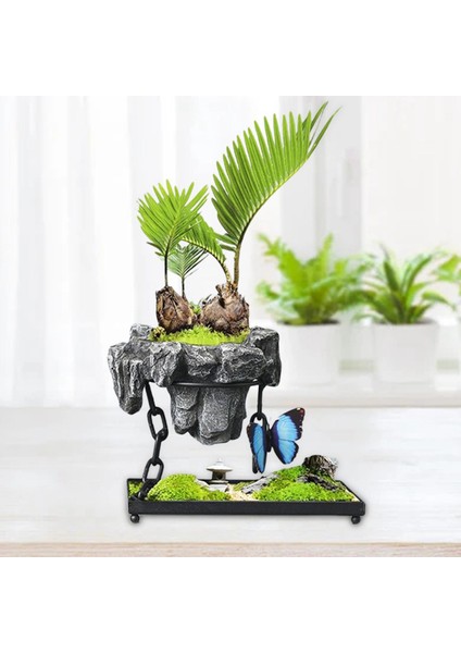 Drenaj Deliği İle Stro Pot Bonsai Pot Kaya İle Kare Için Tencere Tenceresi (Yurt Dışından)