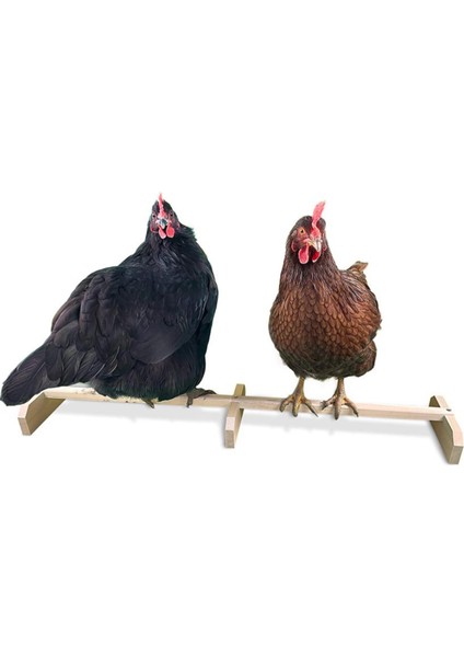Tavuk Tavuk Ahşap Stand Tavukları Için Tavuk Tören Aksesuarları (Yurt Dışından) fırsatları