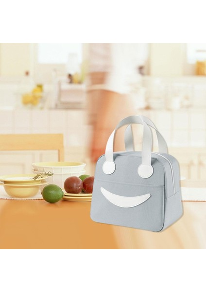 Piknik Tutma Için Öğleği Çantası Işlevsel Pürüzsüz Fermuar Tote (Yurt Dışından) fiyatları