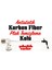 Karbon Fiber Plak Temizleme Kolu 5